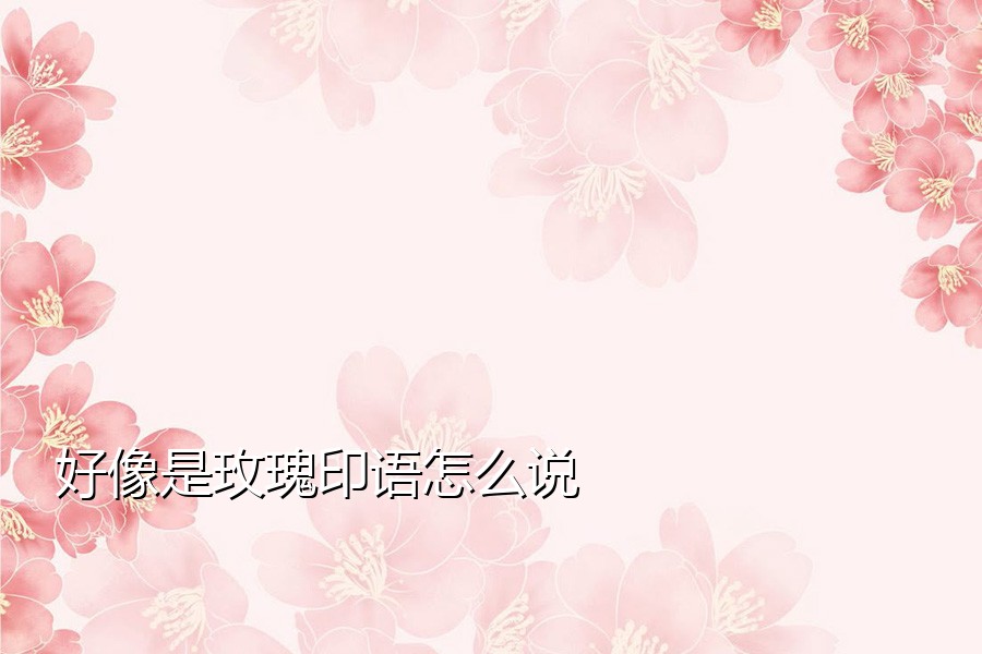 好像是玫瑰印语怎么说